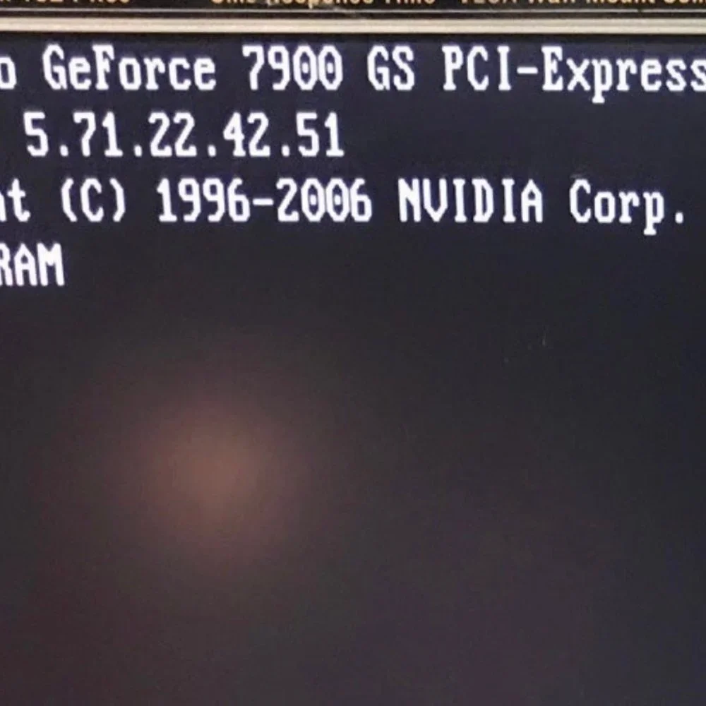 PNY NVIDIA GeForce 7900 GS 256 MB GDDR3 MEMORY PCI Express Card